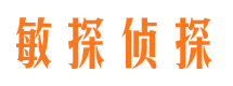 平顶山侦探公司